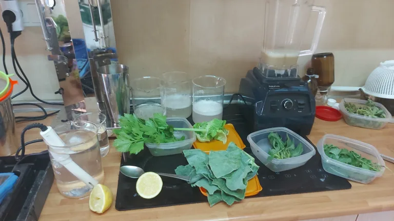 Holohomeopatía Radko Tichavsky