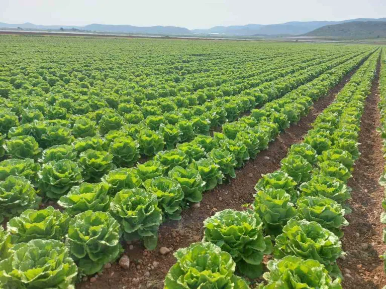 agricultura ecologica pdf