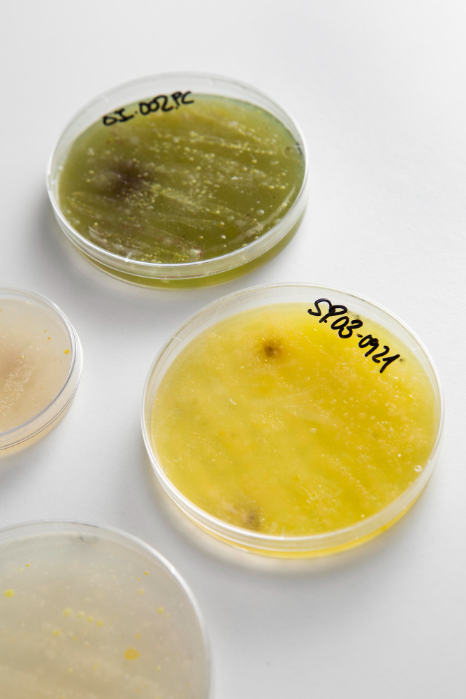 laboratorio de microbiologia de suelos