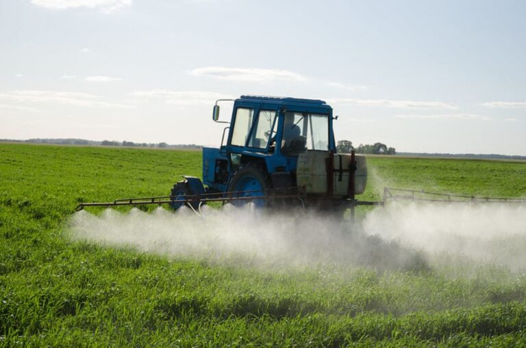 Fertilizacion foliar