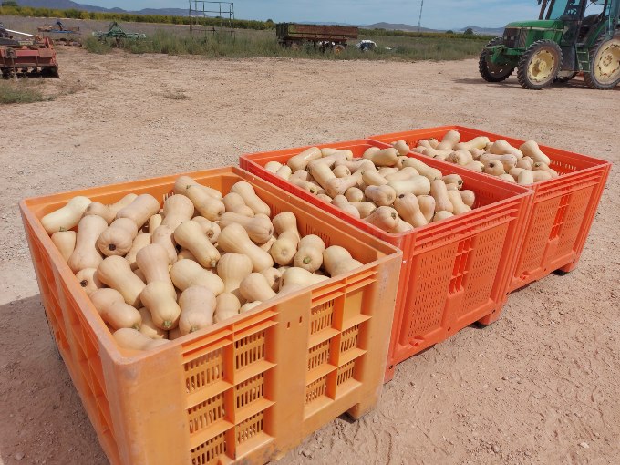 producción agrícola