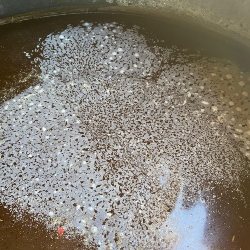 biofertilizantes pdf