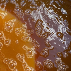 biofertilizantes espana
como hacer biofertilizantes pdf