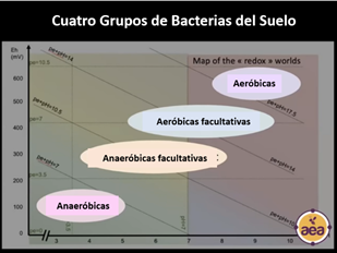 Advancing Eco Agriculture. John Kempf and AEA Growers