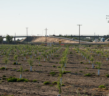 inversion en agricultura mexico