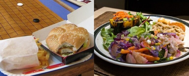 nutricion vegetal pdf