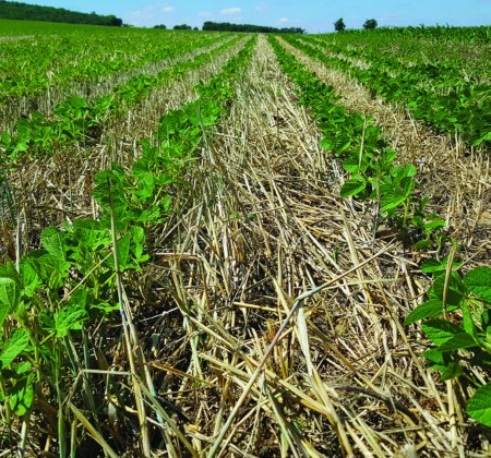 Agricultura de Conservación