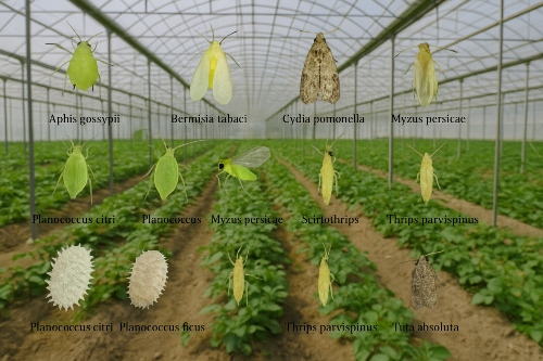 importancia de los insectos en la agricultura pdf