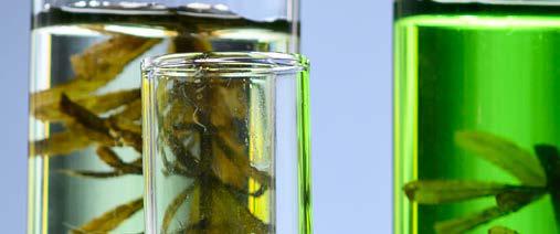 bioestimulantes agrícolas precios