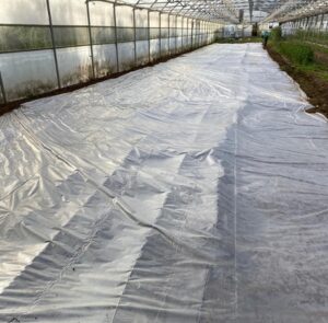 biodesinfeccion suelos