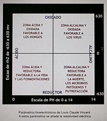 potencial redox suelo