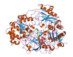 enzimas microbianas pdf