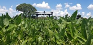 smart agriculture pdf