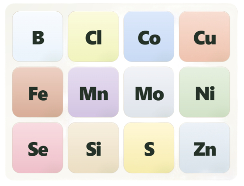 nutrientes en agricultura