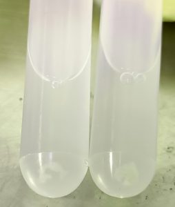 bioinoculante